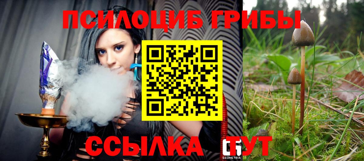 Псилоцибиновые грибы MAGIC MUSHROOMS  Вход с VPN  Когалым 